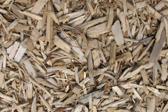 biomass boilers Medburn